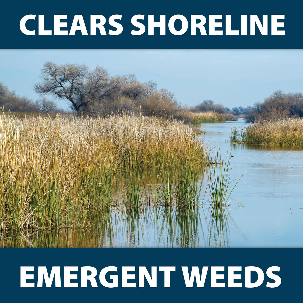 Airmax Shoreline Defense targets root systems for long-term weed control.