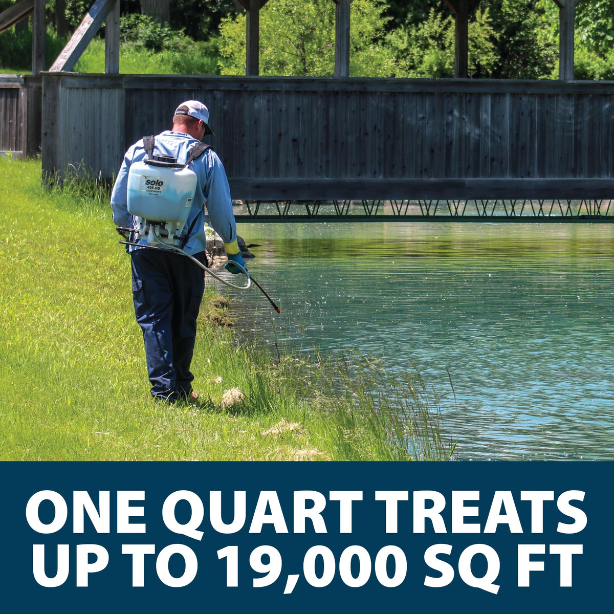 Airmax Shoreline Defense mixed with surfactant for better leaf coverage.