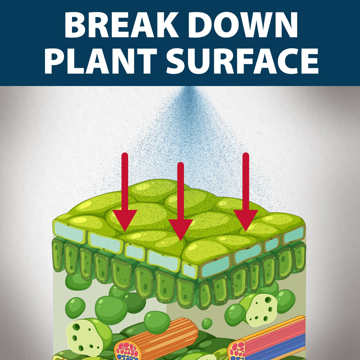 Airmax Treatment Booster Plus Surfactant blended with solutions demonstrates compatibility.