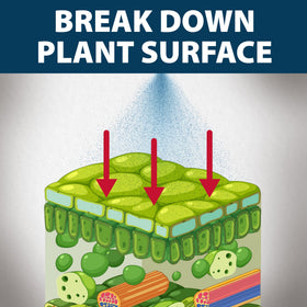Airmax Treatment Booster Plus Surfactant blended with solutions demonstrates compatibility.