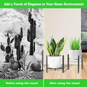 Airpark gift-ready plant stand ideal for plant lovers