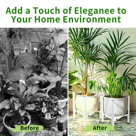 Airpark plant stand with non-slip feet protects floors while displaying plants.