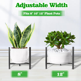 Airpark plant stand with two-height option for different display levels