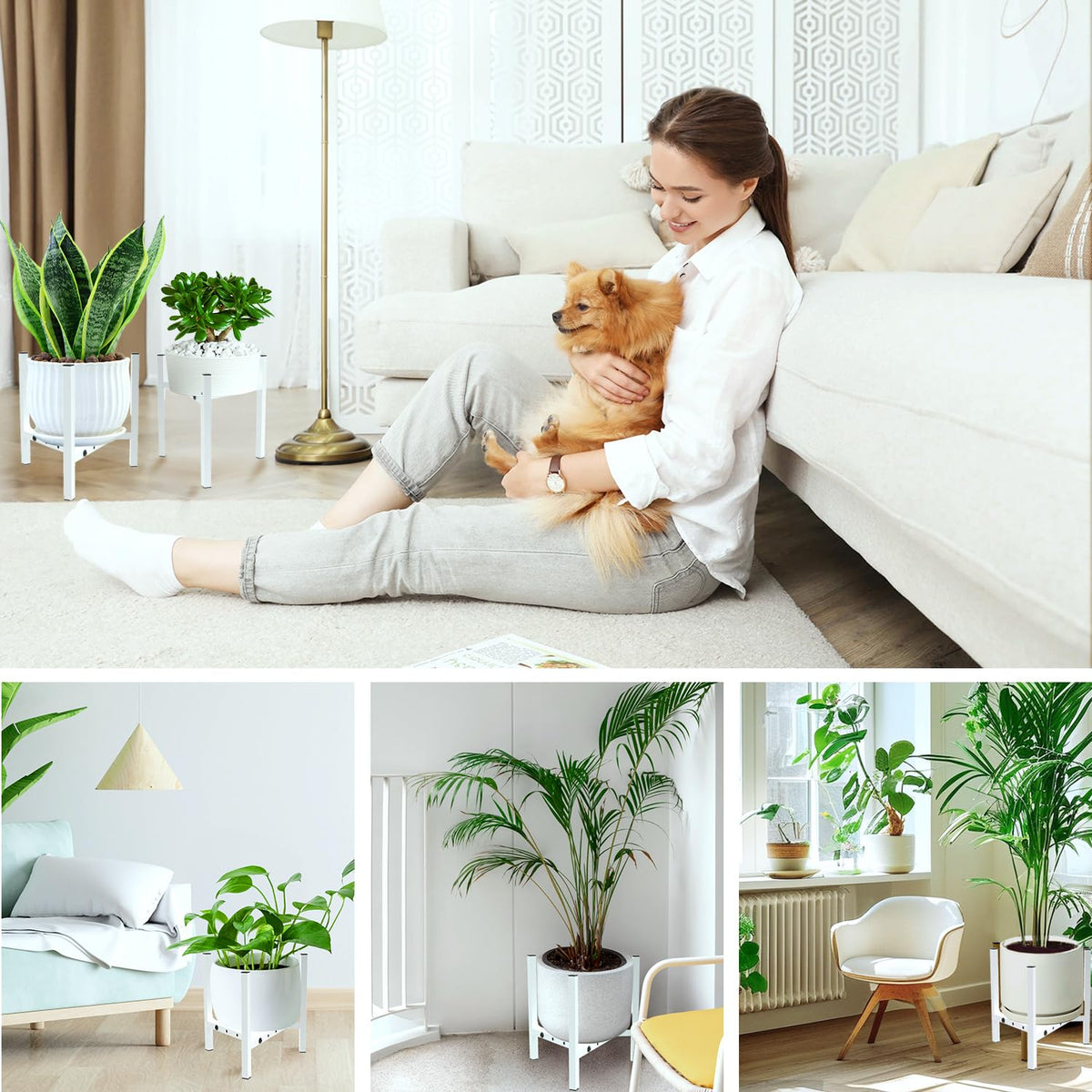 Airpark white plant stand enhances rooms and elevates pots beautifully.