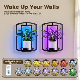 Aisdan built in lighting with remote control lights plants and surrounding area.