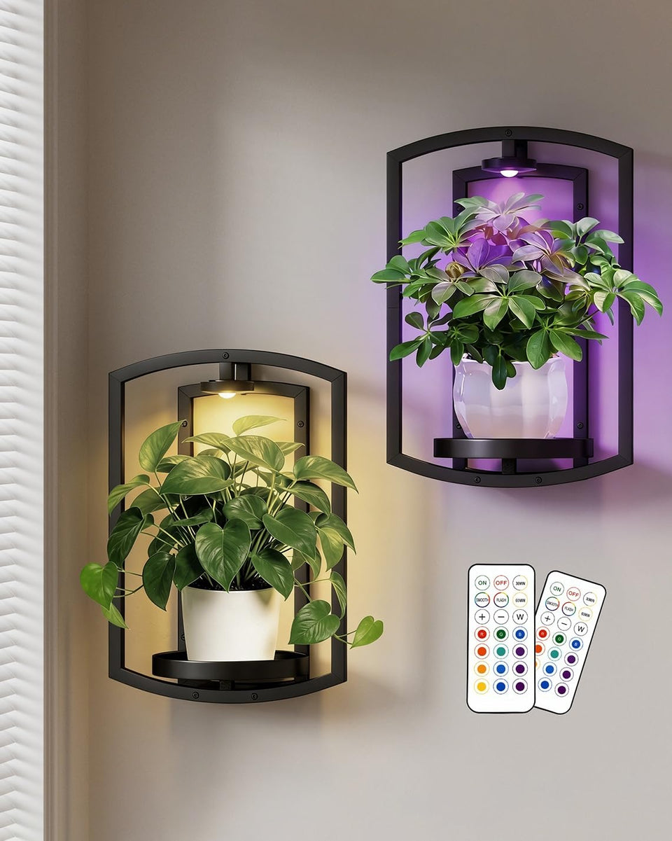 Aisdan wall plant holder with frame greenery creates living wall art for interiors.