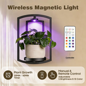 Aisdan wireless lighting keeps cords tidy and highlights greenery.
