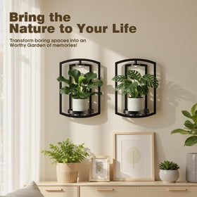 Aisdan sturdy 2mm frame supports up to 25 lbs for heavier planters.