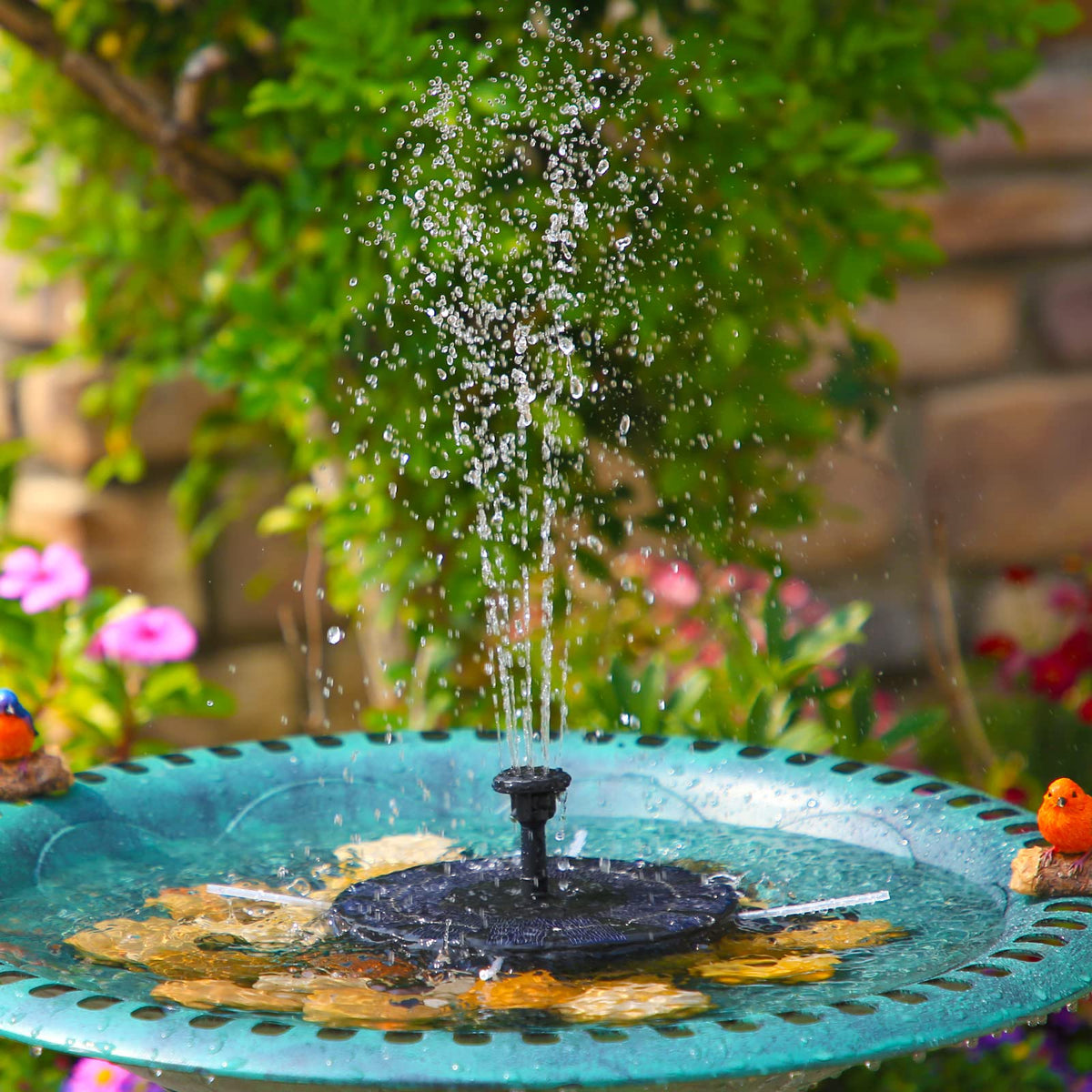 Easy setup and minimal maintenance with AISITIN solar fountain