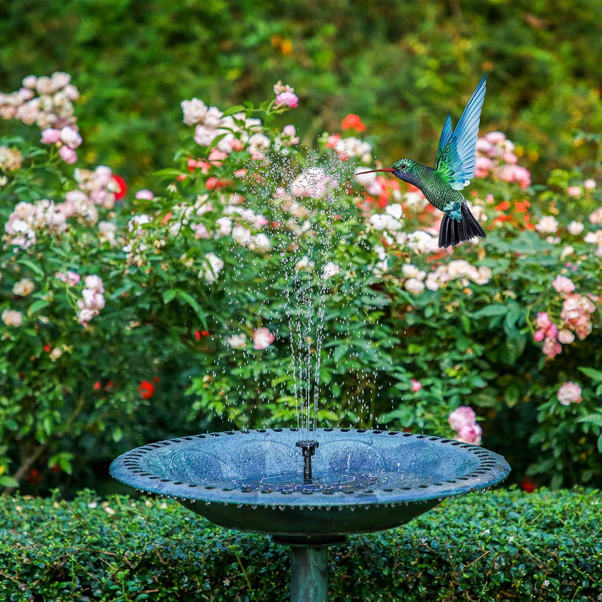 AISITIN solar panel close-up demonstrates efficient energy capture for continuous fountain operation.