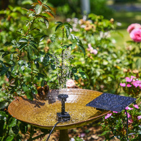 AISITIN solar water pump nine-point-eight-foot cord extended reach for placement