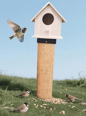 Aiwaiufu bracket mounted on a wood post supports bird feeder and owl box.