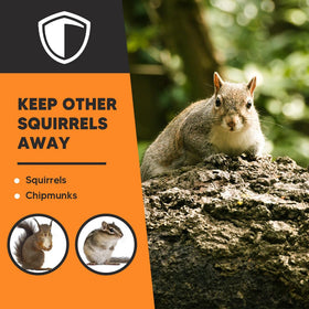 AJOQFKTD product shown safe around people and pets in a yard.