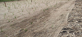 AK Trading Co landscaping erosion protection blanket on sloped ground