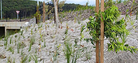 AK Trading Co slope stabilization with jute cover in embankment