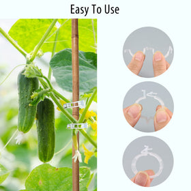 AK1980 garden clips help plants grow upright, improving air flow and healthier fruiting