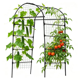Alabzphsia garden arch trellis with arched canopy supports climbing plants and decorates outdoor spaces.