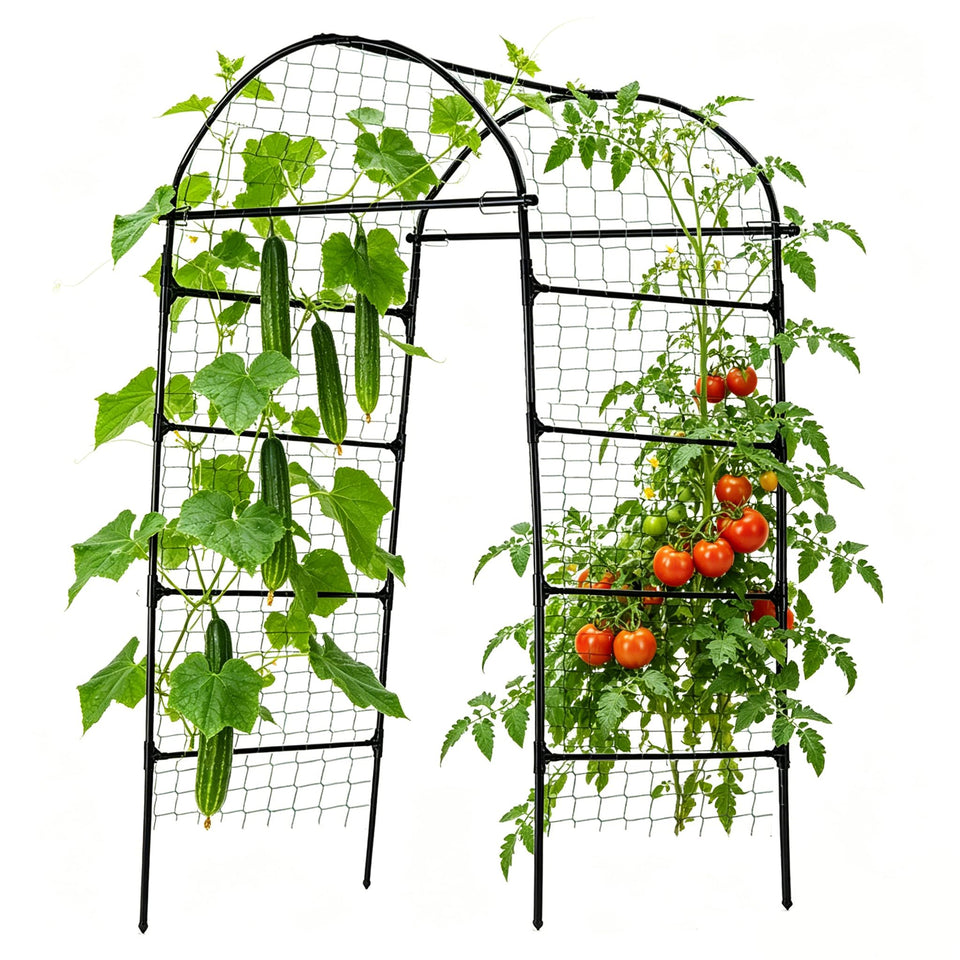 Alabzphsia garden arch trellis with arched canopy supports climbing plants and decorates outdoor spaces.