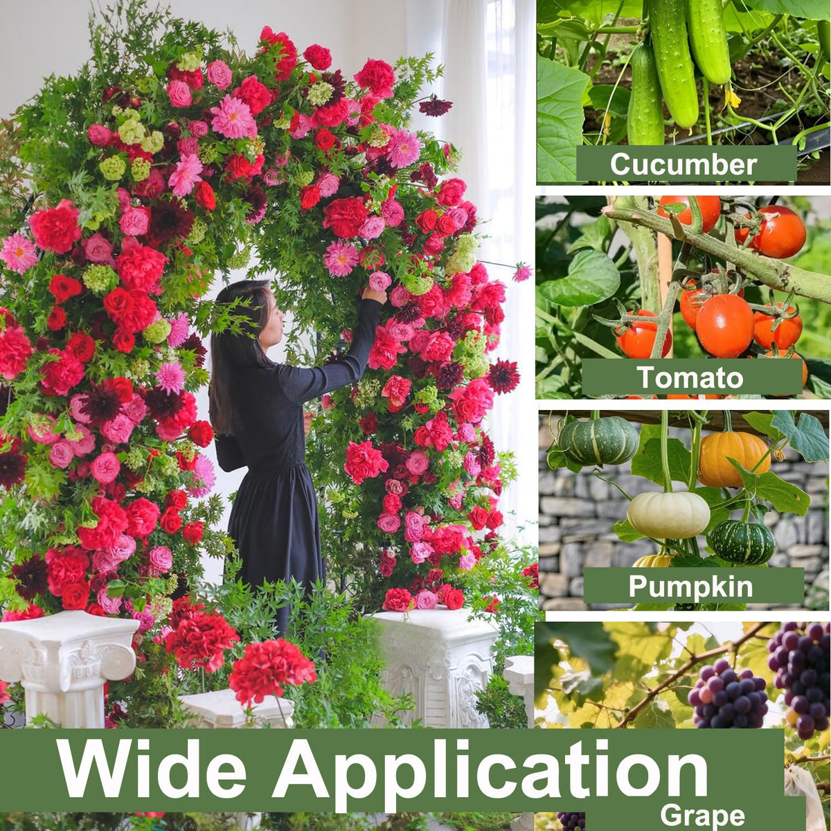 Alabzphsia garden-arch trellis supports roses, ivy, and climbers.