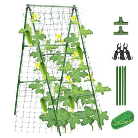 Alabzphsia garden cucumber trellis with netting supports climbing vines