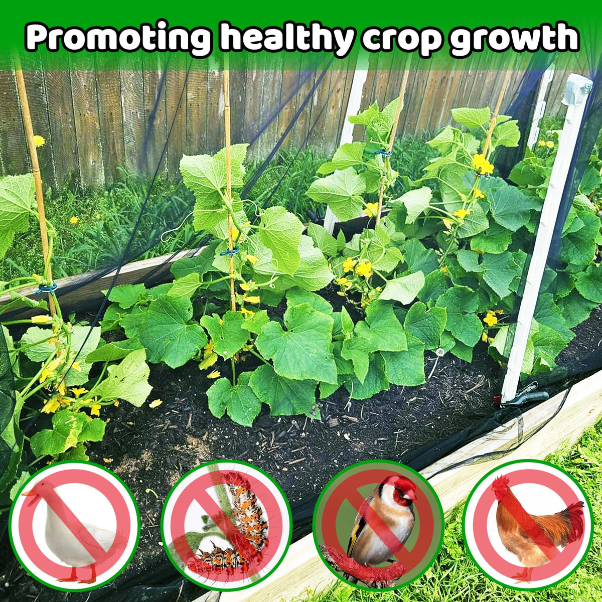 Alaeseje plant cover netting supports healthy crop growth.