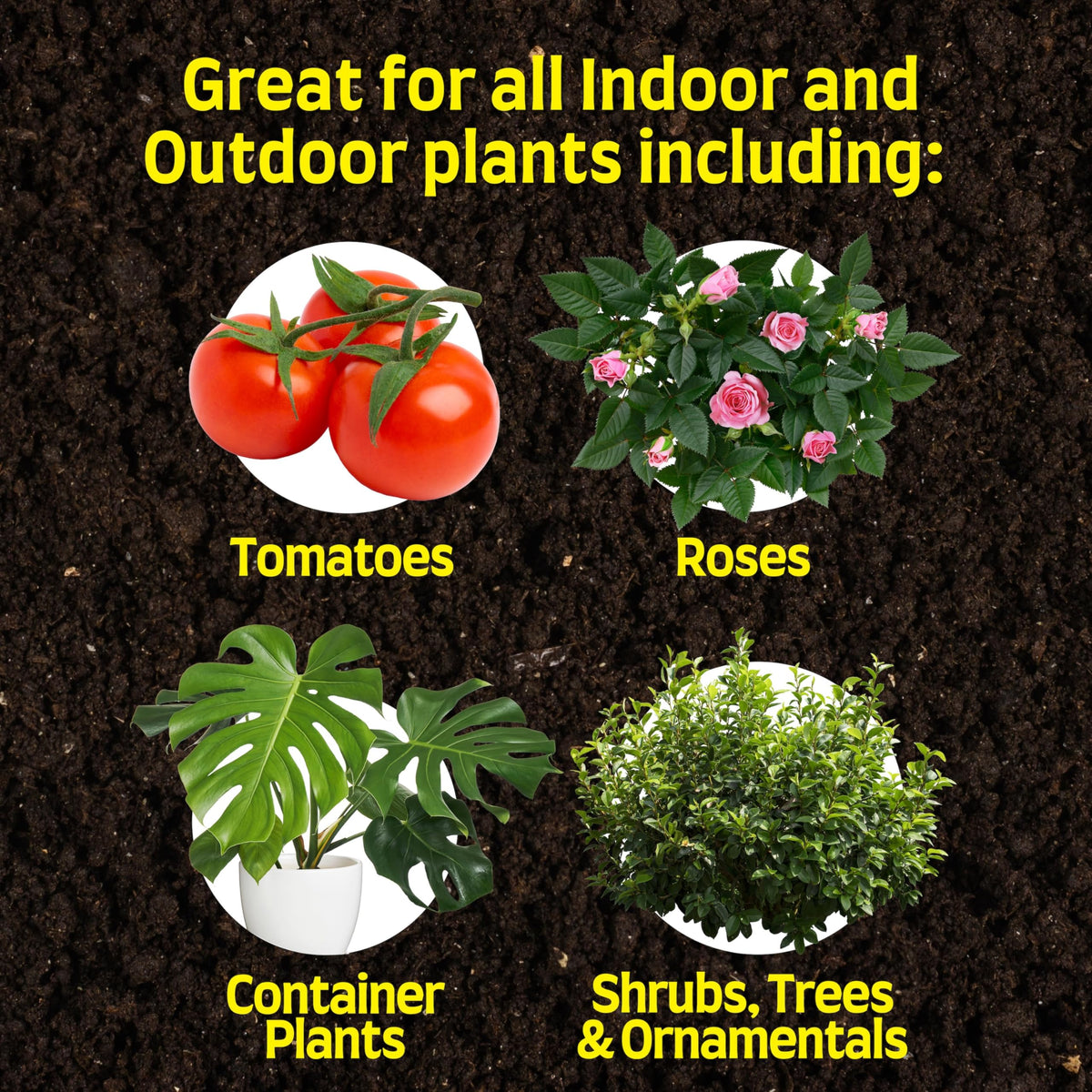 Alaska fertilizer applied to vegetable bed supports healthy growth.