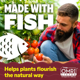 Alaska fish fertilizer dilution with water for easy feeding.
