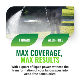 Albaugh Sublime non-bleaching formula packaging for pristine turf care