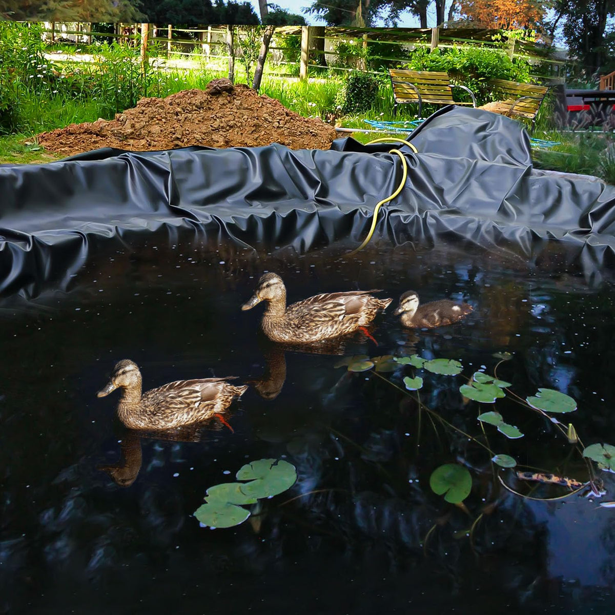 ALDMIO koi pond setup using the liner for a koi-safe habitat