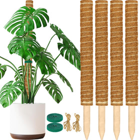 ALENEY moss pole 4-pack 17-inch close-up shows upward support for climbing plants.