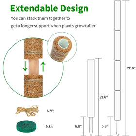 ALENEY pole illustrates easy assembly for upright plant support.