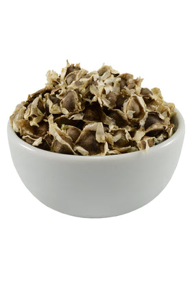 Alfabel PKM1 Moringa seeds close-up showing non-GMO quality and vitality.