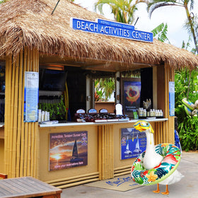 Aliceset bright summer color scheme creates cheerful outdoor mood