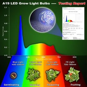 ALIDE 10W bulbs with standard E26 base ready for lamps.