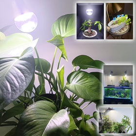Three-pack ALIDE grow light bulbs displayed for buyers.