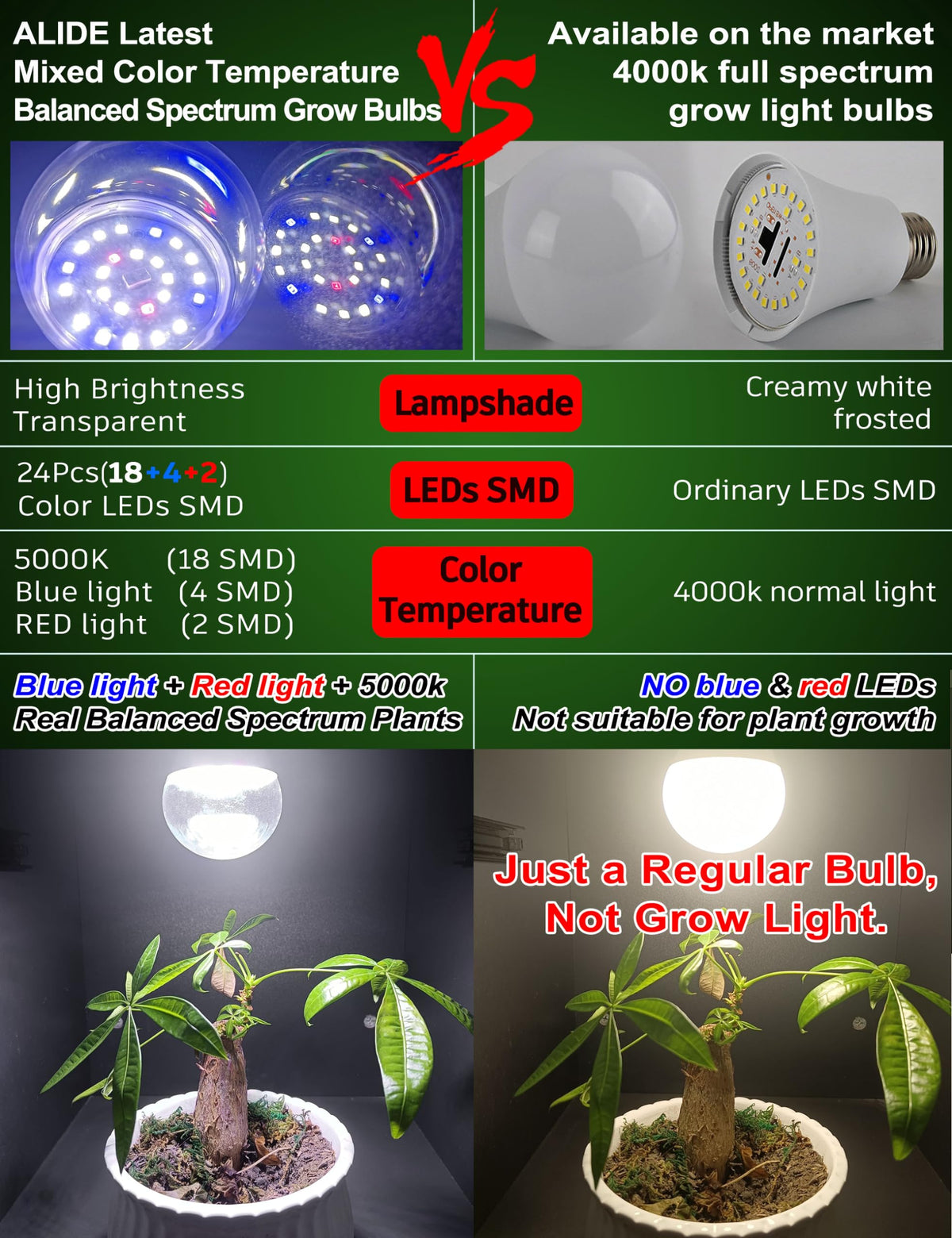 ALIDE bulbs installed over seedlings in a greenhouse.