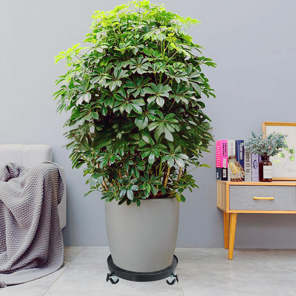 Alleegold large rolling plant stand supporting heavy pots up to 600 lbs.