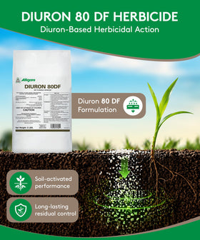 Alligare Diuron 80 DF dry granules for even ground distribution in large areas.
