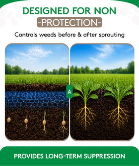 Alligare Diuron 80 DF demonstrates rain-activated action that supports soil protection.
