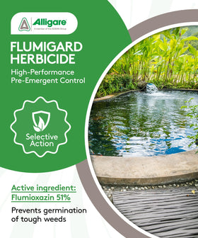 ALLIGARE Flumigard pond-application demonstrates quick algae suppression.