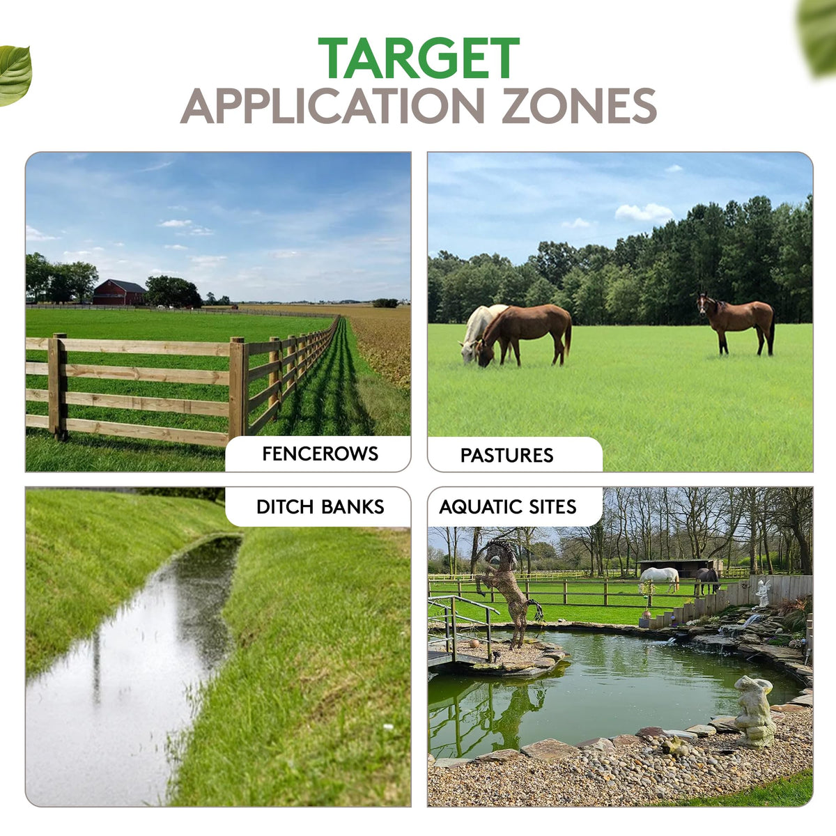 Alligare Imazapyr 4 SL aquatic weed control for ponds and ditches.