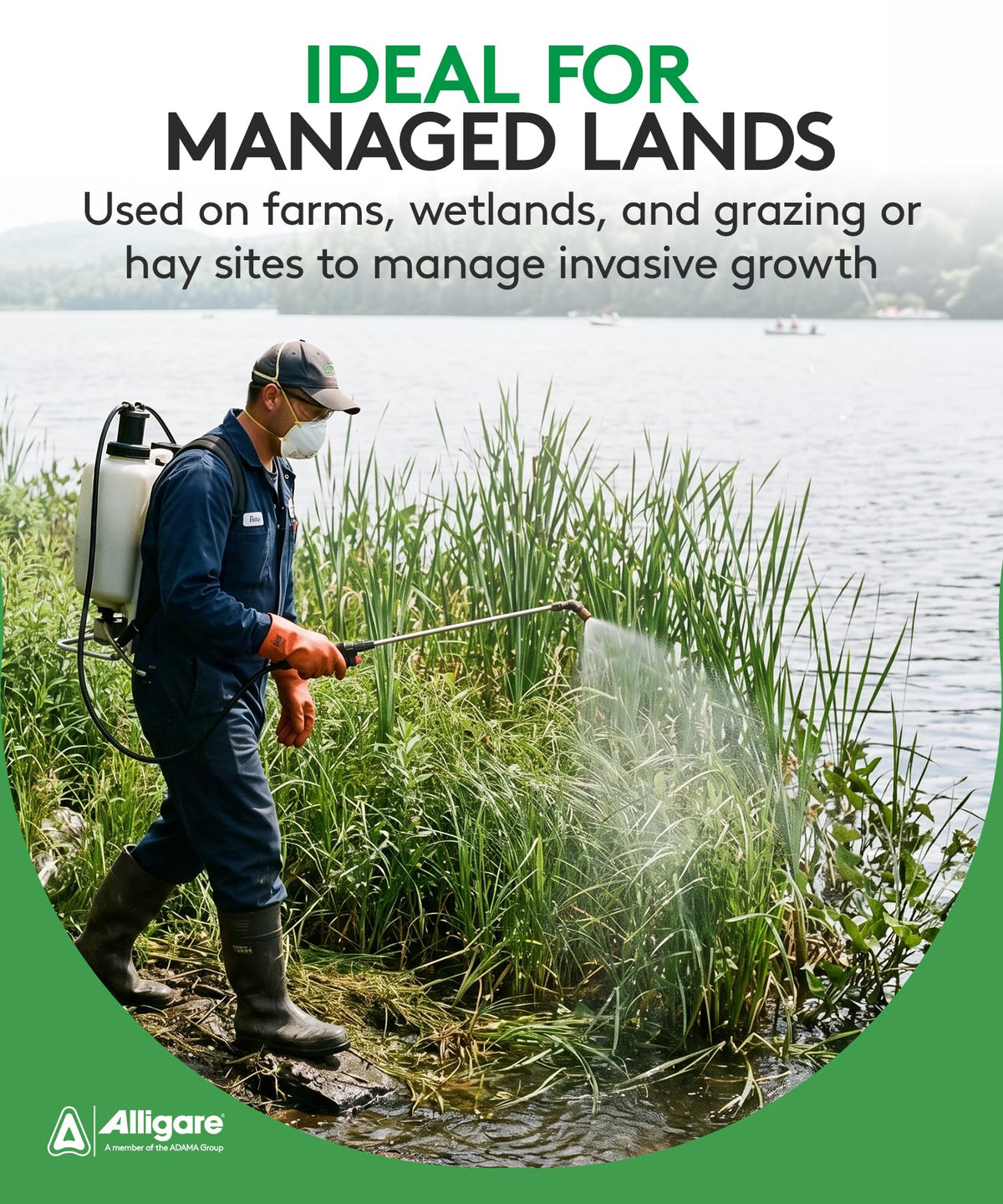 ALLIGARE Imox versatile weed killer for aquatic and terrestrial sites