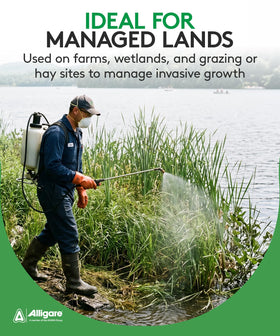 ALLIGARE Imox versatile weed killer for aquatic and terrestrial sites