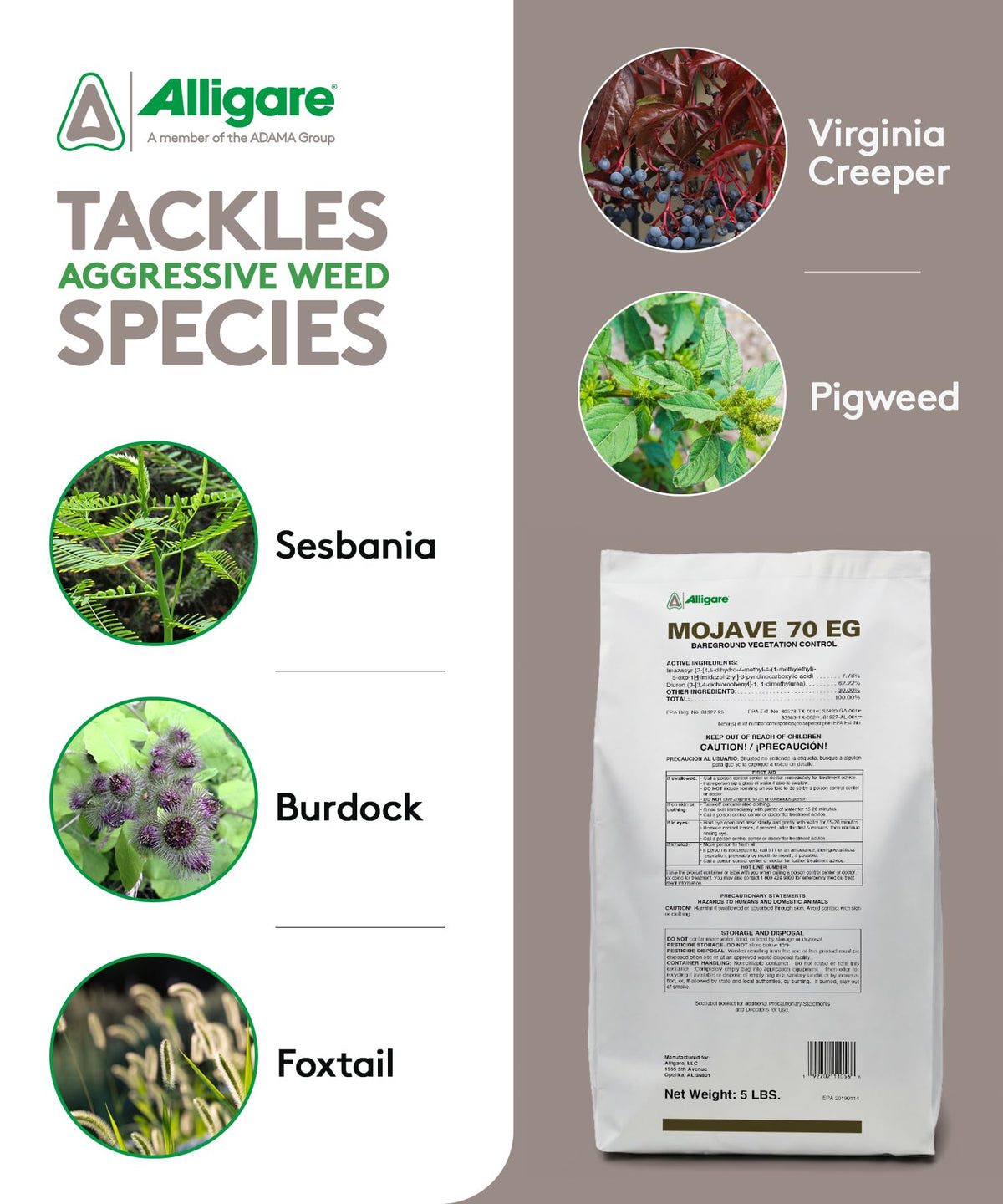 ALLIGARE Mojave 70EG mixed with water for easy spraying