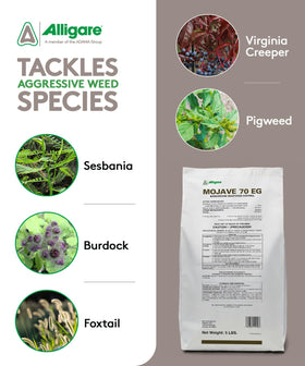 ALLIGARE Mojave 70EG mixed with water for easy spraying