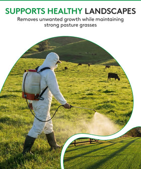 Alligare MSM Turf pasture health with preserved desirable grasses after treatment.
