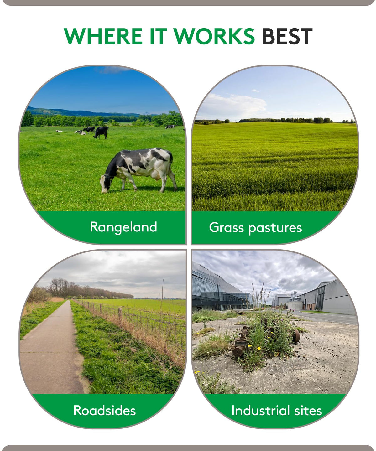 Alligare MSM Turf tank-mix compatibility shown with other products for broader control.