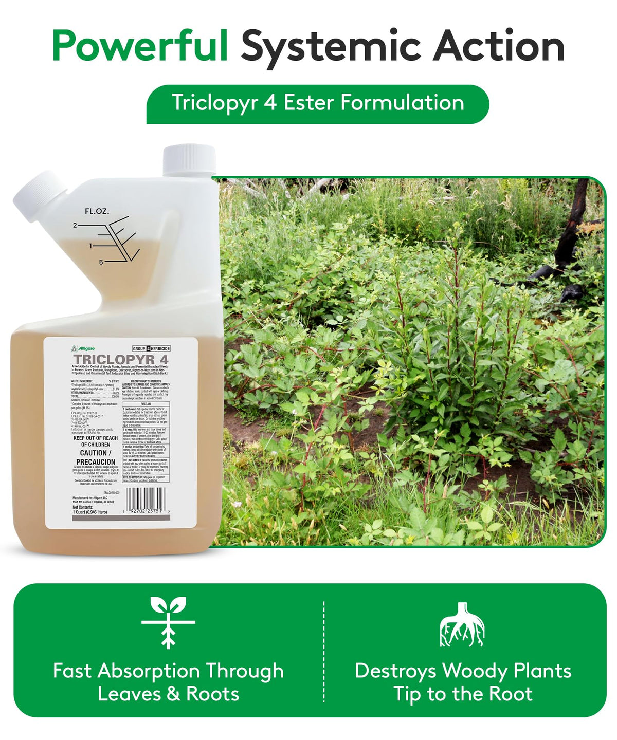ALLIGARE 4 EC spray demonstrates leaf absorption for woody weed control