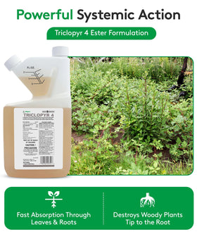 ALLIGARE 4 EC spray demonstrates leaf absorption for woody weed control