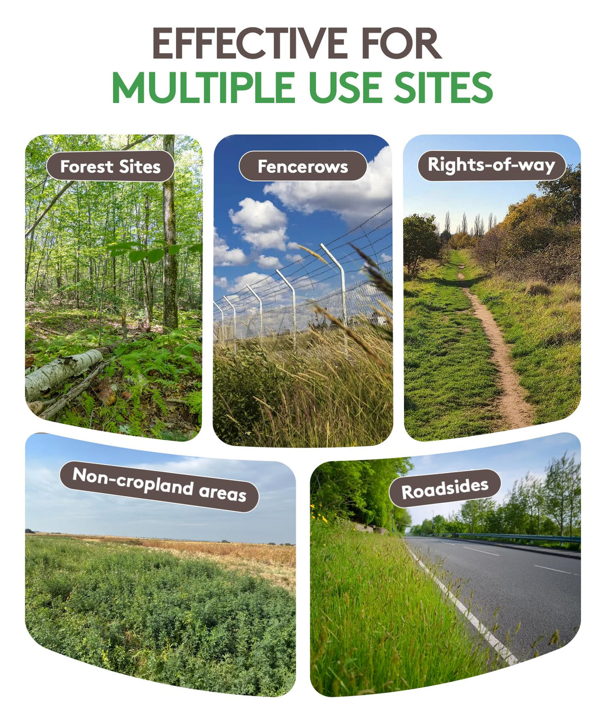ALLIGARE Triumph RTU demonstrates root translocation to curb regrowth.